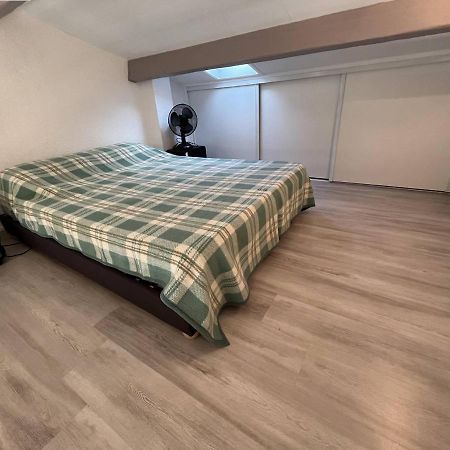 Studio A 50M De La Plage Saint-Pierre-la-Mer  Εξωτερικό φωτογραφία